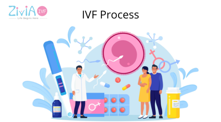 IVF process explained