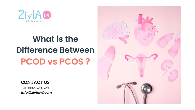 What is the Difference between PCOD vs. PCOS